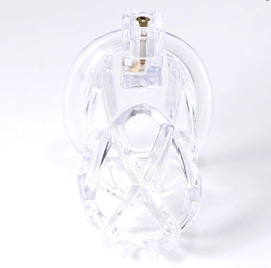 SPIKED CHASTITY CAGE- THE SCOURGE OF SERVITUDE