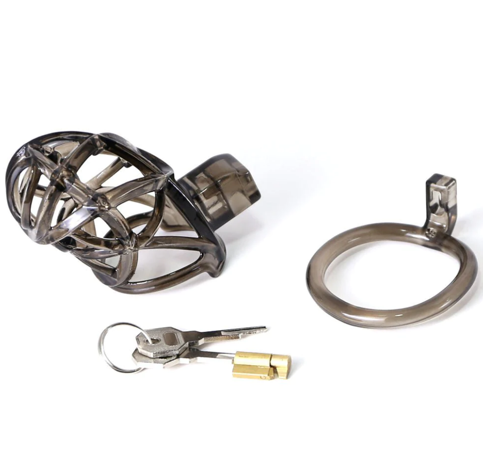 SPIKED CHASTITY CAGE- THE SCOURGE OF SERVITUDE