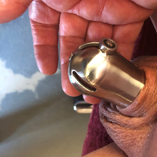 CH38 - PA Chastity cage