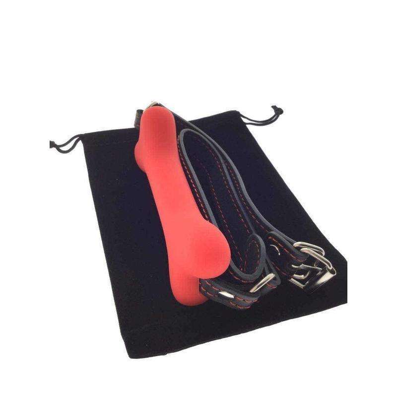 gag with bone shape for control