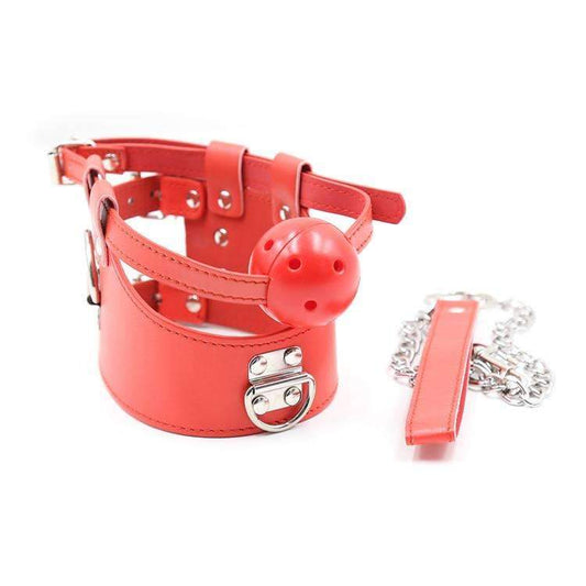 BDSM gag with adjustable collar