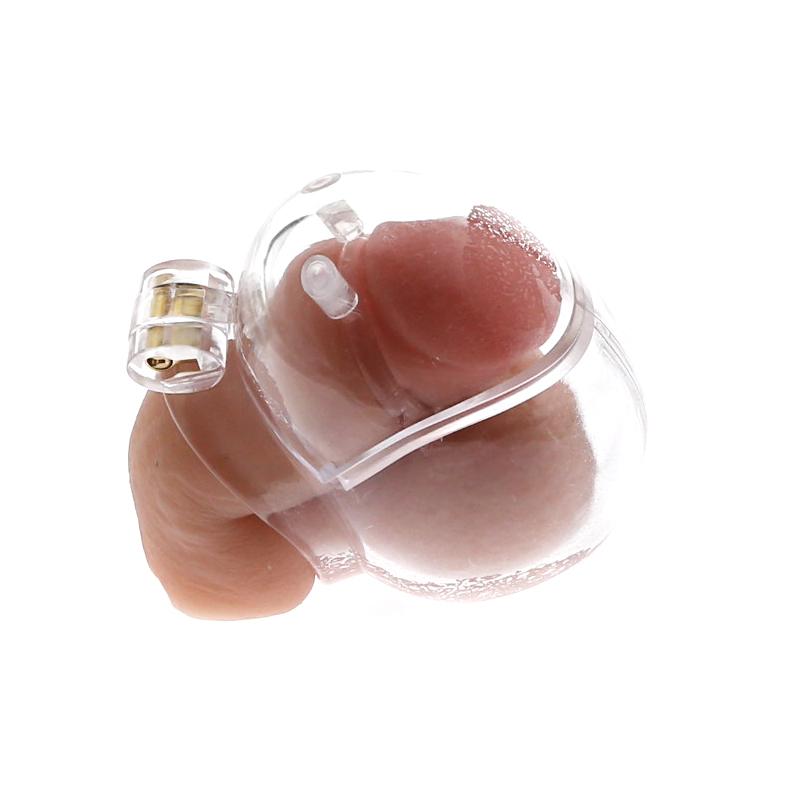 BDSM full cover penis cage
