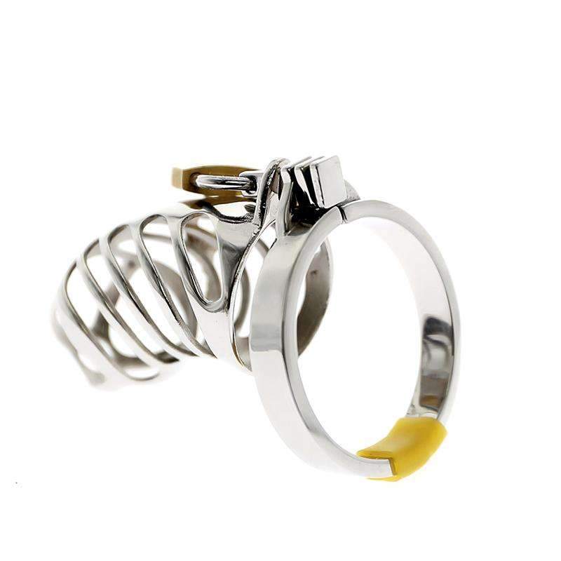 Chastity training device for males