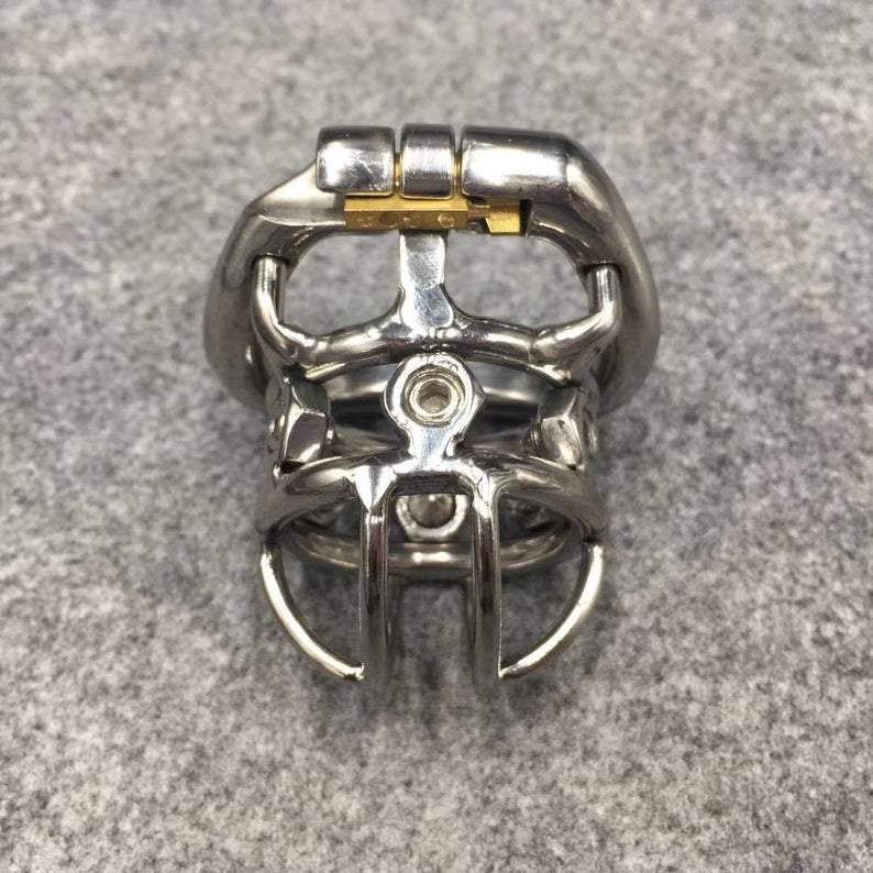 Chastity toy with cock and ball torture