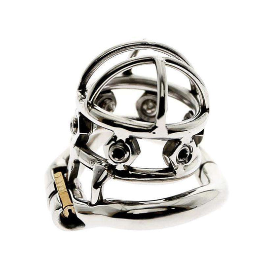 Chastity cage for advanced BDSM couples