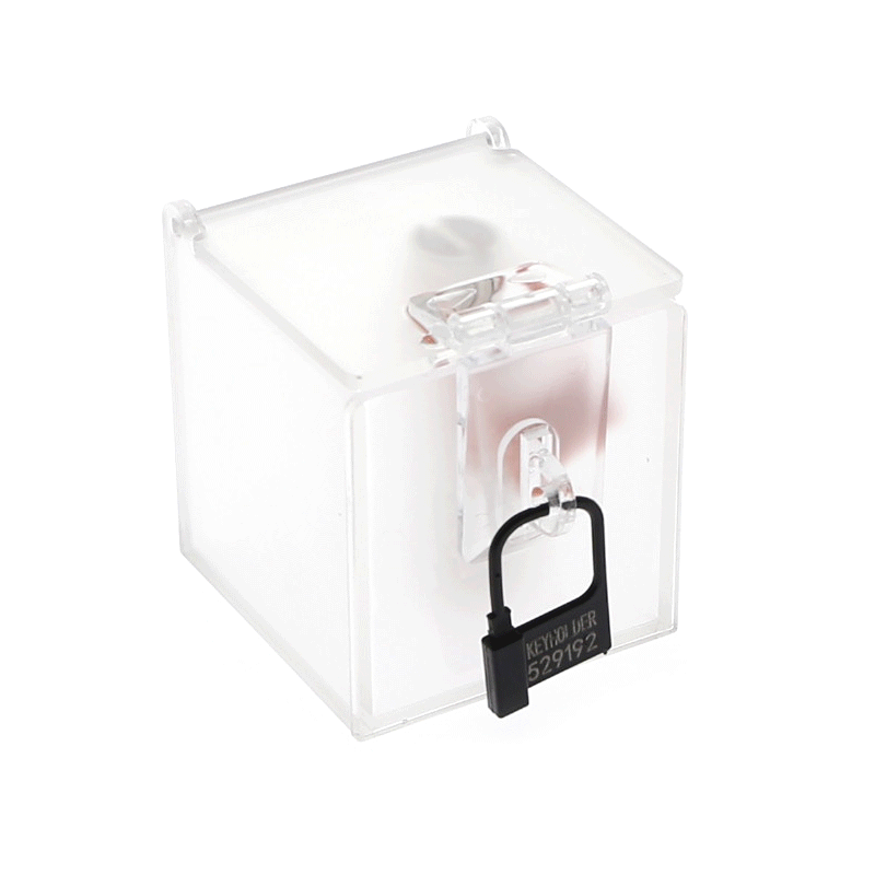 Where to Find Chastity Key? Explore Secure Options at Rose Clubwear!