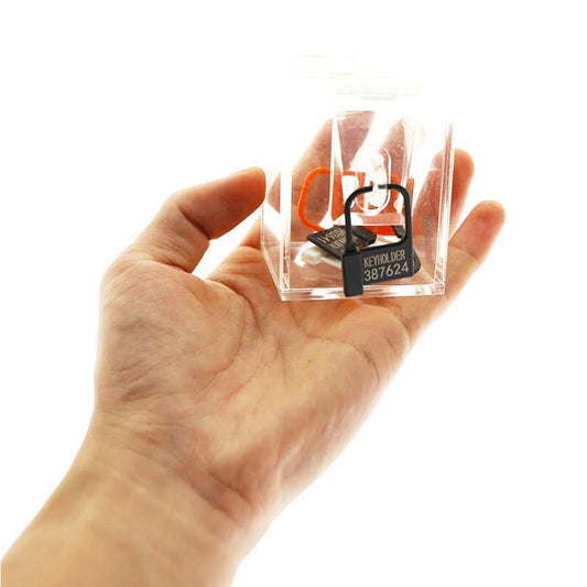 Discreet plastic chastity lock with numbers