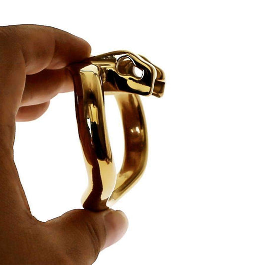 chastity device ring replacement