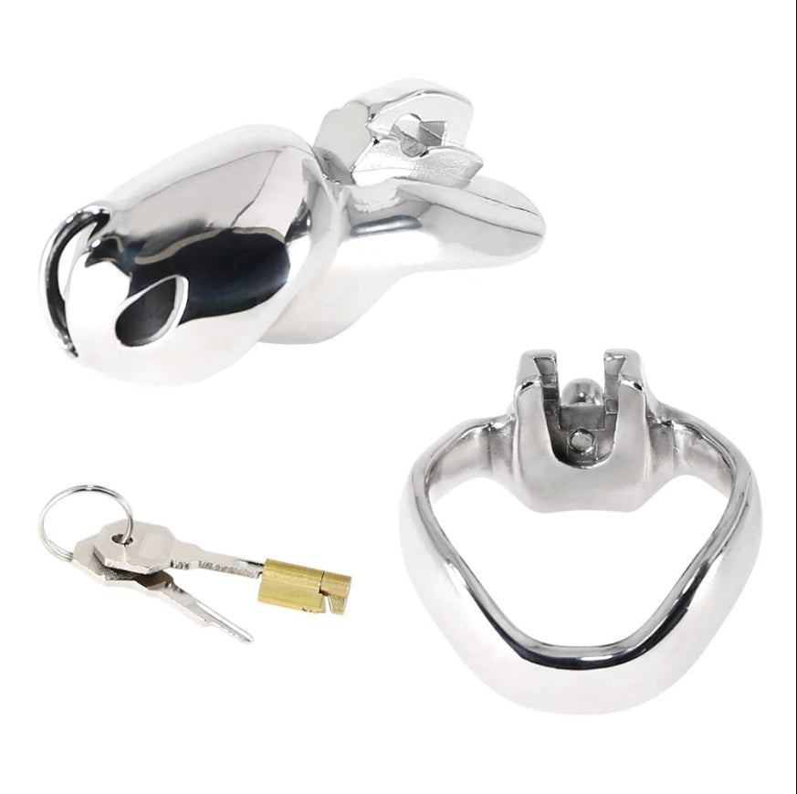 Experience Full Control with HTV4 Chastity on Leash