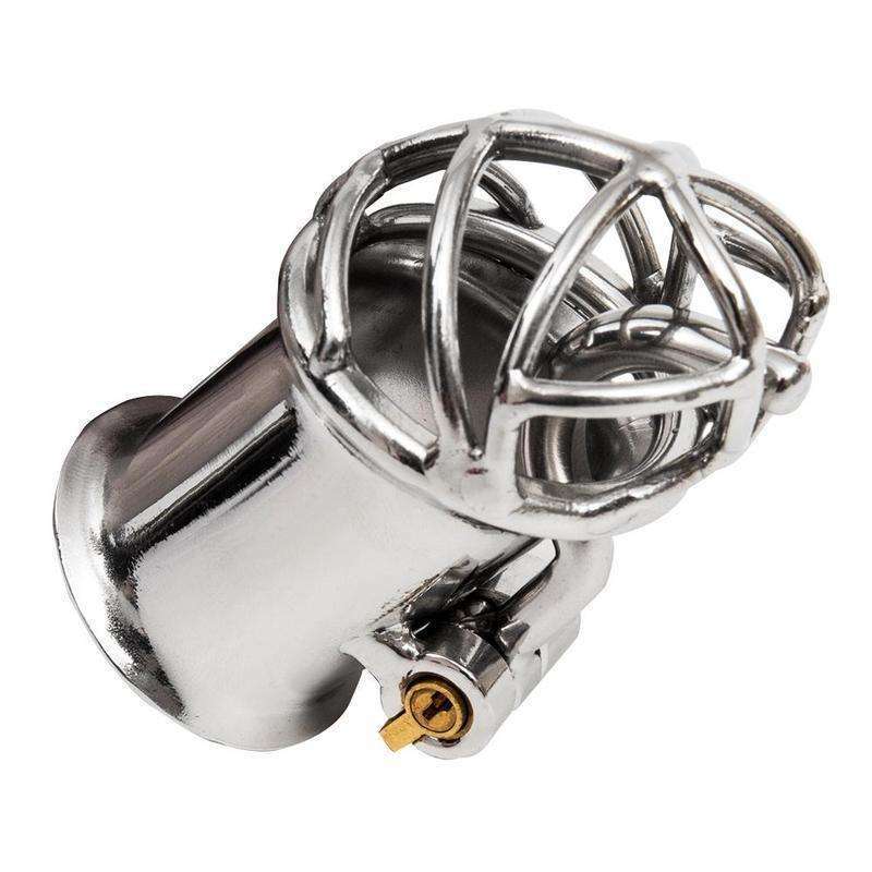 PA ring chastity cage with secure lock