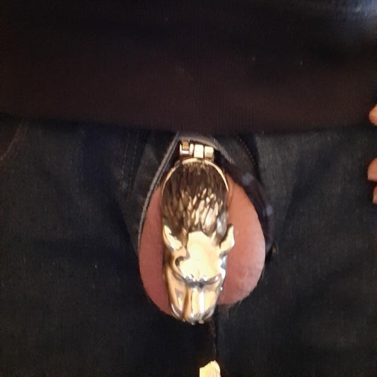 Bold tiger style cock cage