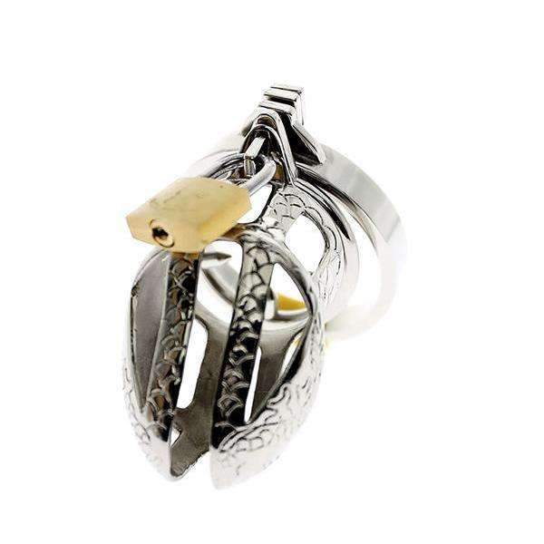 Chastity Cock Lock for long-term wear