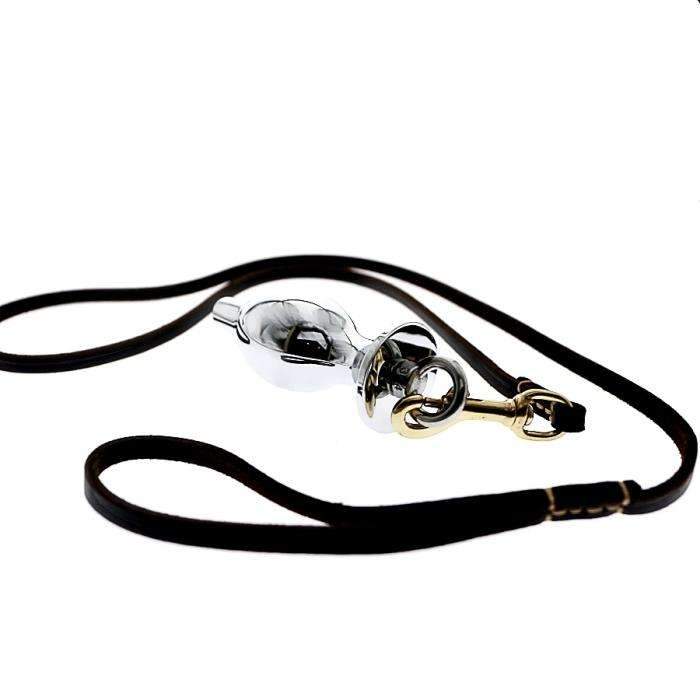 How to clean and store leash plug accessories?