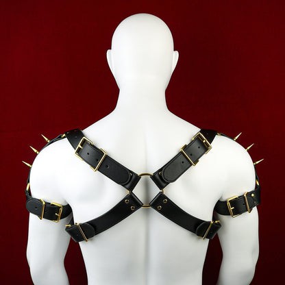 What does a cross restraint bondage harness for men look like?