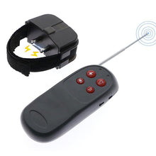 Load image into Gallery viewer, Electric Cock Ring Sex Toys -lovershop01
