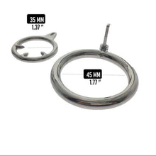 Load image into Gallery viewer, Mythical 24K gold chastity lock
