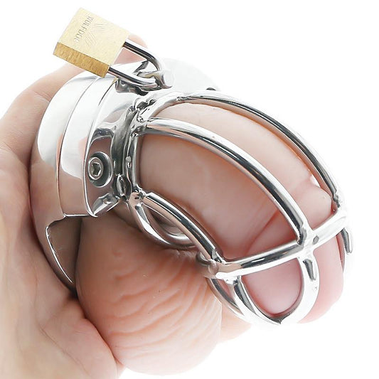 2-in-1 cock cage with ball stretcher