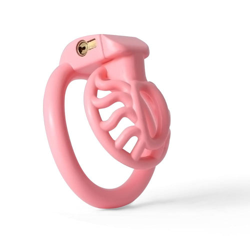 3D printed cock cage Teeny