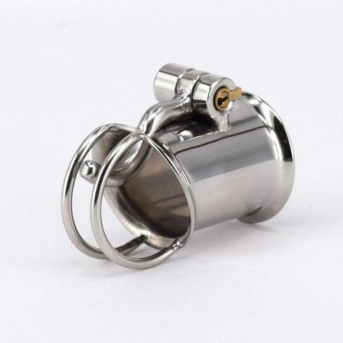 CH30 PA Chastity Cage