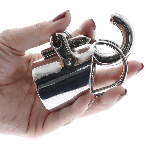 PA Chastity cage