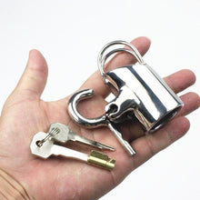 Load image into Gallery viewer, PA Chastity cage
