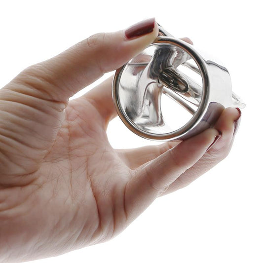 PA Chastity cage