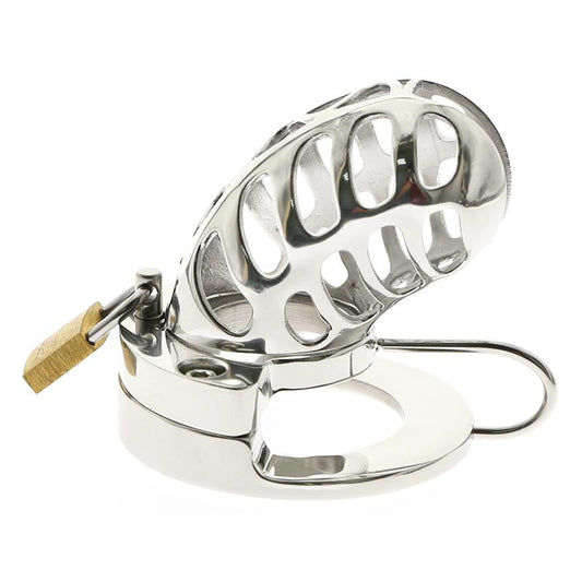 How to use a 2-in-1 ball stretcher in BDSM play?