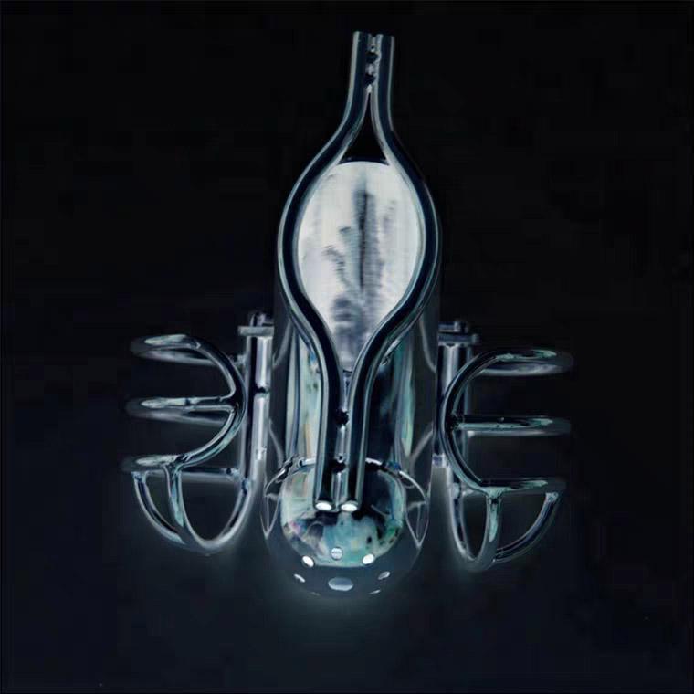 Chastity device for secure male control