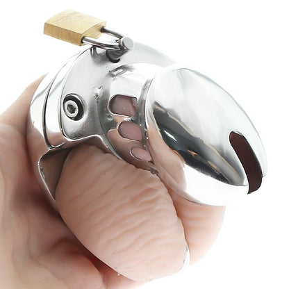 Pain and pleasure with 2-in-1 steel chastity device