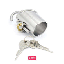 Load image into Gallery viewer, PA chastity device for advanced users

