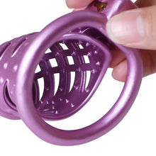 Load image into Gallery viewer, NEW MISTRESS’ PUNISHMENT - SPIKED CHASTITY CAGE
