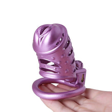Load image into Gallery viewer, NEW MISTRESS’ PUNISHMENT - SPIKED CHASTITY CAGE
