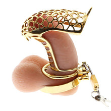 Load image into Gallery viewer, How secure is the flat ring on a gold chastity device?
