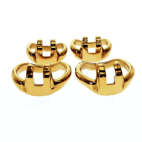 golden holy trainer spare ring