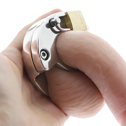 Locked cock ring for chastity control