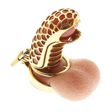 Load image into Gallery viewer, Can a gold chastity cage increase your submissive’s obedience?
