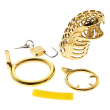 Load image into Gallery viewer, 24K gold dragon chastity lock for ultimate control
