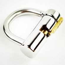 Load image into Gallery viewer, Is this the most secure PA chastity device yet? Click and see!
