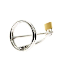 Load image into Gallery viewer, Can you wear a penis plug chastity cage daily?
