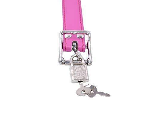 pink dildo gag for oral control