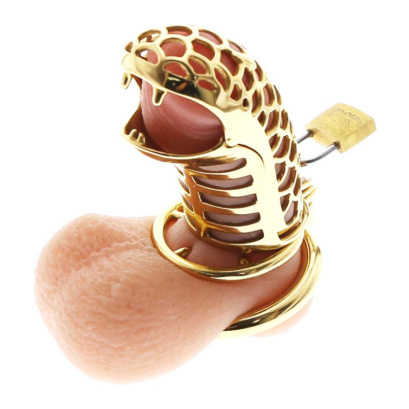 Golden dragon chastity device