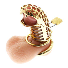 Load image into Gallery viewer, Golden dragon chastity device
