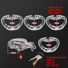Load image into Gallery viewer, Male Chastity Device Stainless Steel Penis Cage Bird Metal Cock Ring Lock Slave BDSM Bondage Restraint Sex Toy Men Sex Toys -lovershop01
