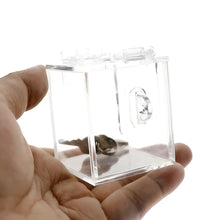 Load image into Gallery viewer, The Chastity Device Key Box Safe Chastity key holder keyholder SafeChastity Game with  Acrylic sexy box sexy toys Sex Toys -lovershop01
