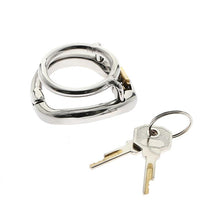 Load image into Gallery viewer, Lockable hinged training ring
