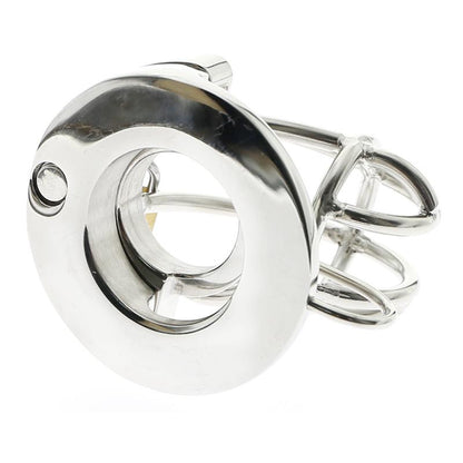 secure 2-in-1 BDSM device
