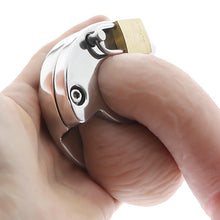 Load image into Gallery viewer, What is a training chastity ring?
